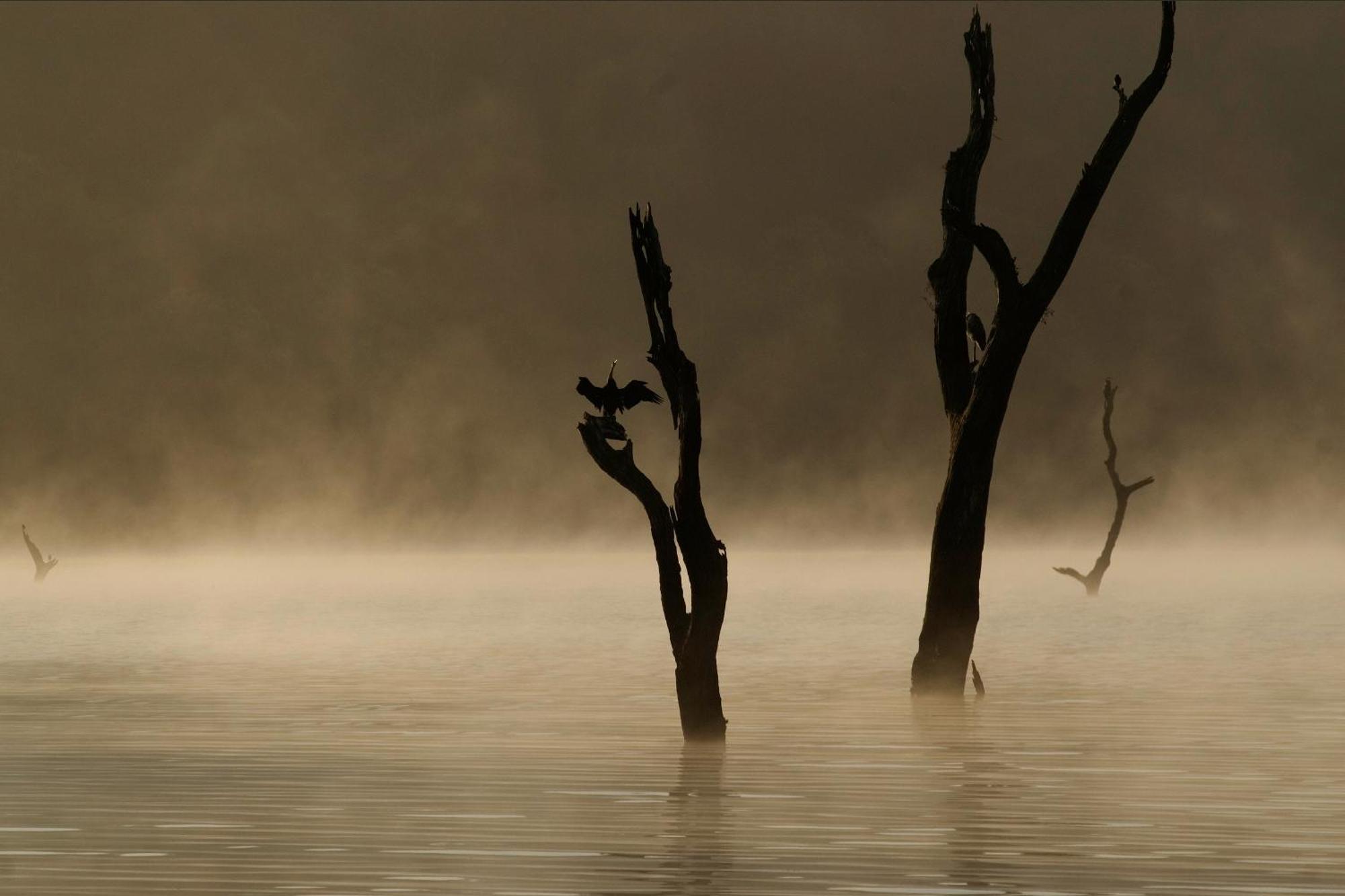 Cardamom County By Xandari Hotell Thekkady Eksteriør bilde