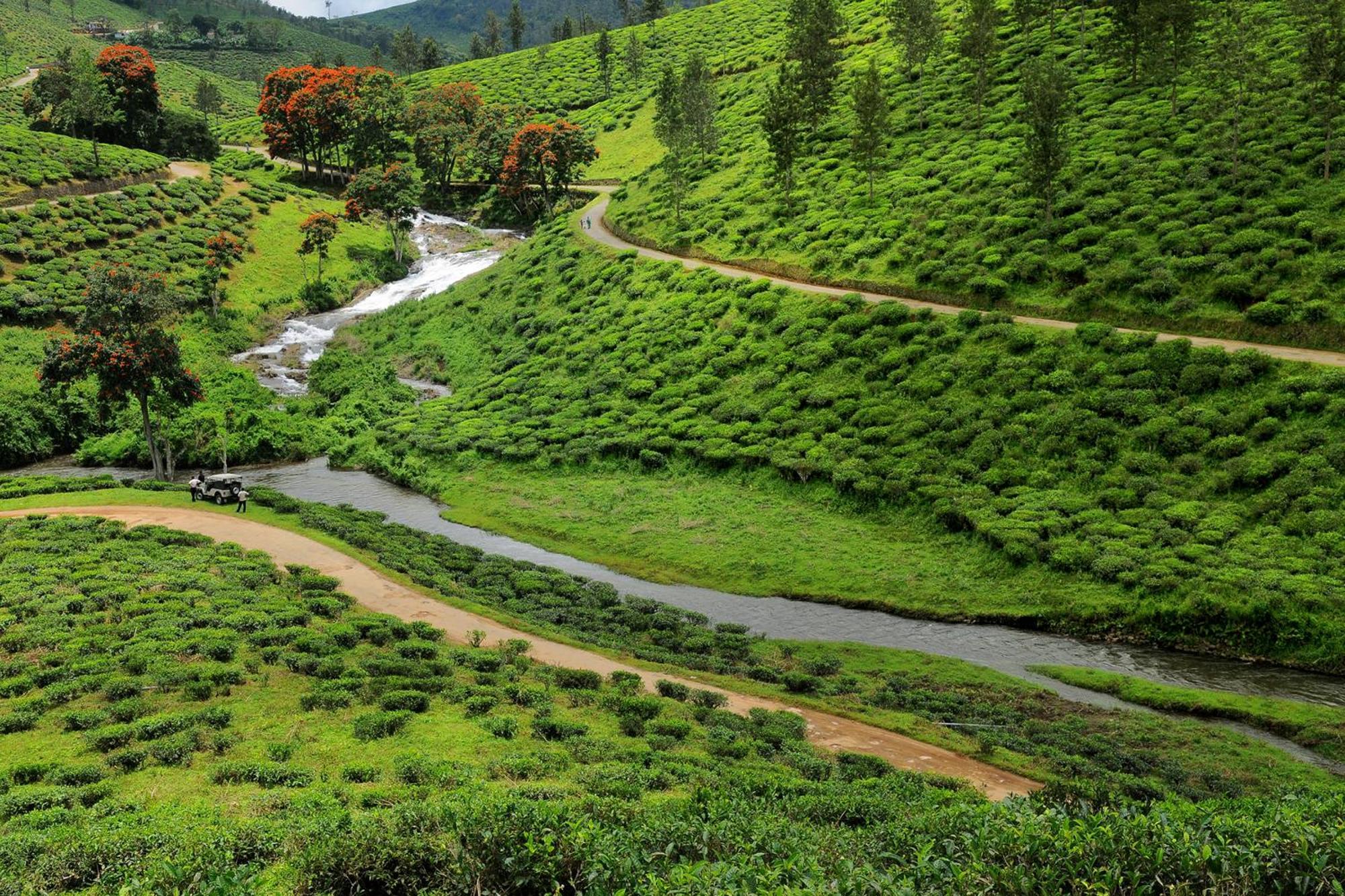 Cardamom County By Xandari Hotell Thekkady Eksteriør bilde