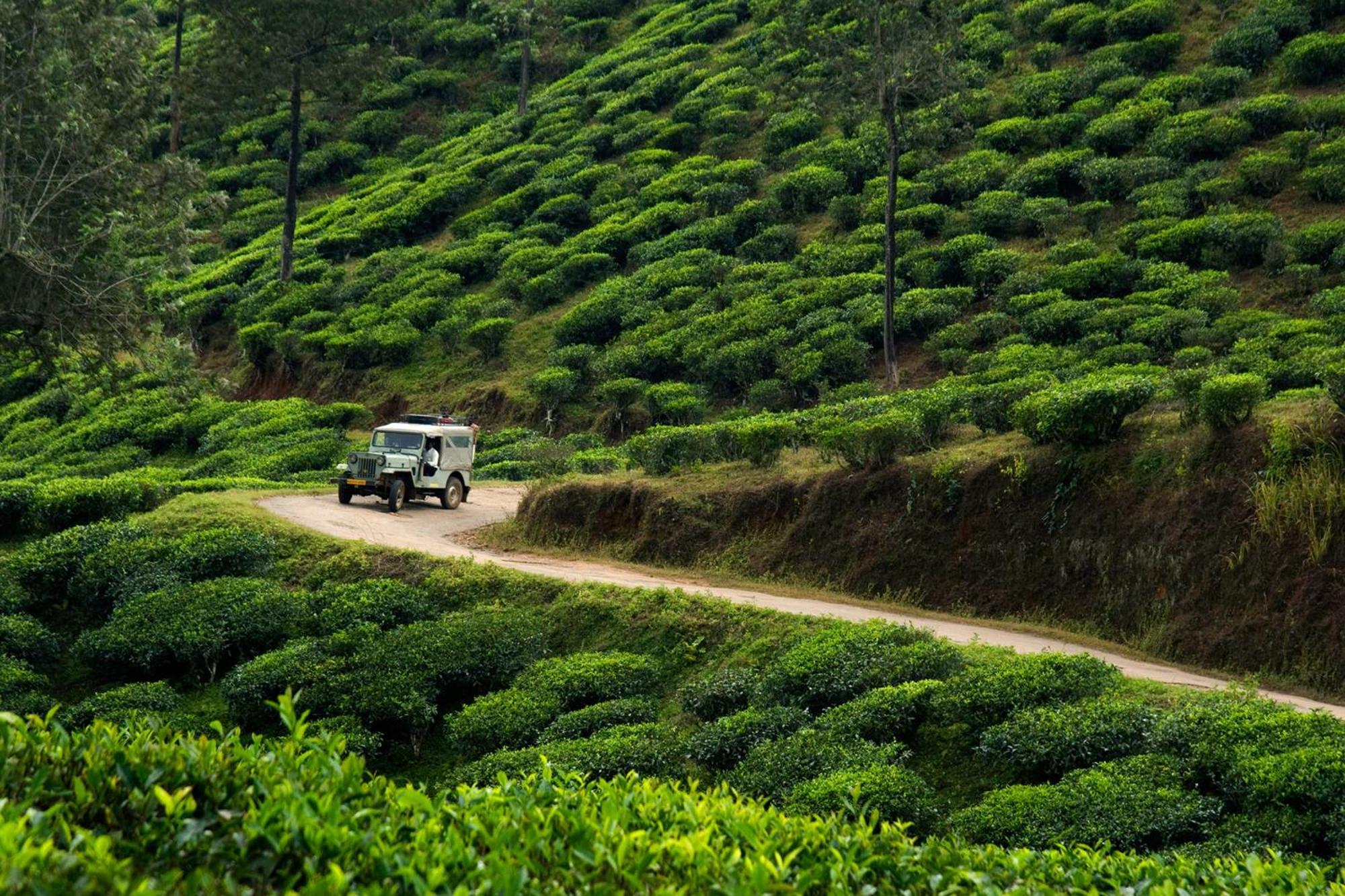 Cardamom County By Xandari Hotell Thekkady Eksteriør bilde