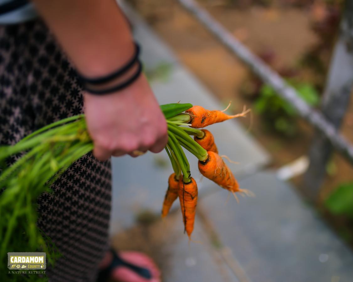 Cardamom County By Xandari Hotell Thekkady Eksteriør bilde