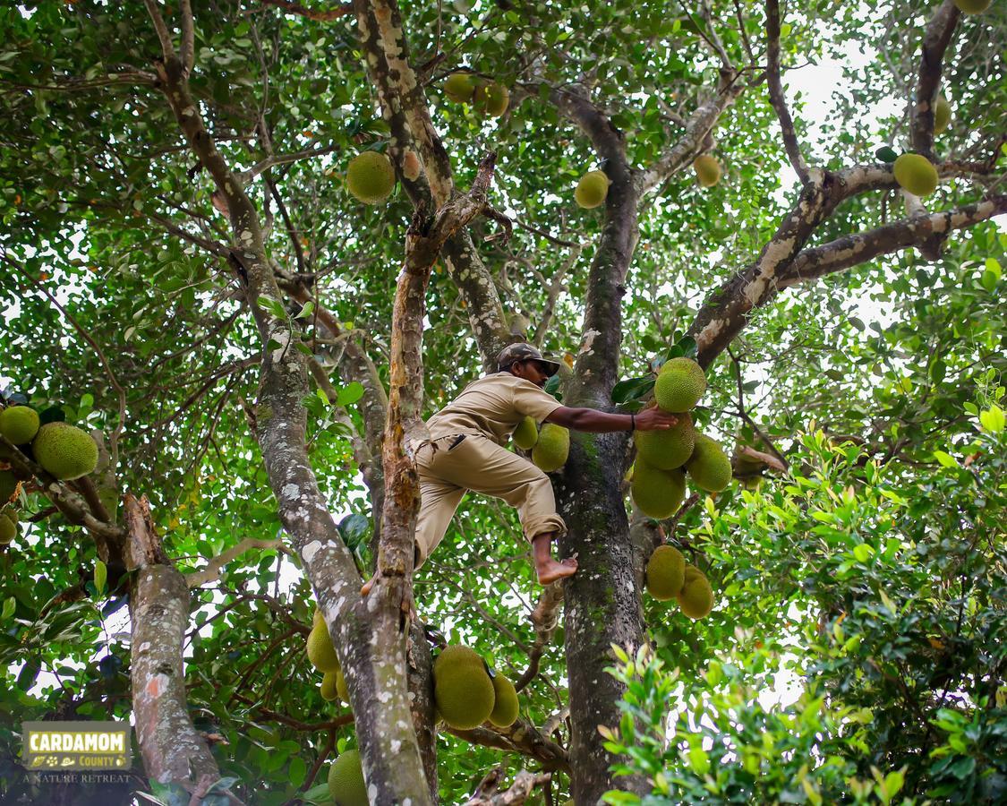 Cardamom County By Xandari Hotell Thekkady Eksteriør bilde